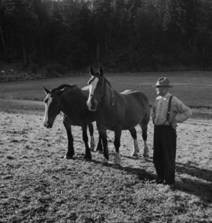 Farmer shown with his team..., near Centralia, Lewis County, Wester Washington, 1939. Creator: Dorothea Lange.