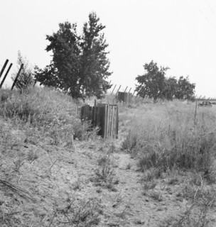 Toilets provided for hop pickers in grower's camp, near Grants Pass, Oregon, 1939. Creator: Dorothea Lange.