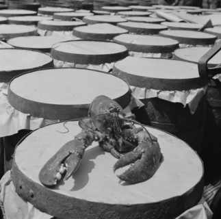 Possibly: A large lobster brought in by the New England fishing boat Fulton..., New York, 1943. Creator: Gordon Parks.