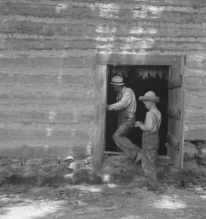 Coming out of tobacco barn in which tobacco is being cured, Granville County, North Carolina, 1939. Creator: Dorothea Lange.