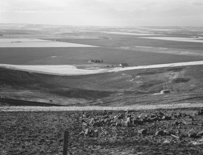 Looking down the newly plowed wheat fields of the Umatilla Valley, Oregon, 1939. Creator: Dorothea Lange.