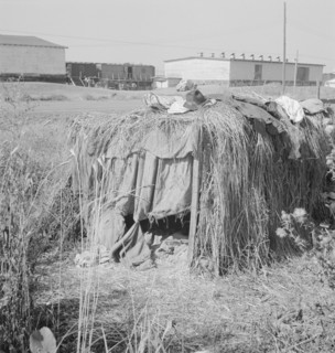Camp of single men during potato harvest, Tulelake, Siskiyou County, California, 1939. Creator: Dorothea Lange.