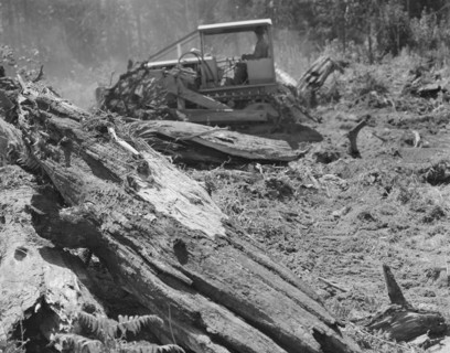 Possibly: Bulldozer equipped with grader..., near Vader, Lewis County, Western Washington, 1939. Creator: Dorothea Lange.