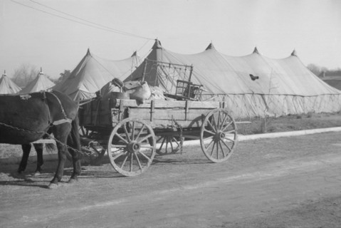 Possibly: Refugees lined up at meal time in the camp for white..., Forest City, Arkansas, 1937. Creator: Walker Evans.