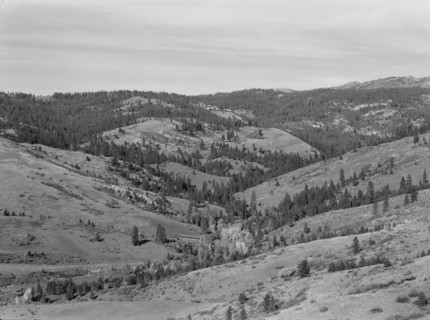 Upper end of Squaw Creek Valley..., Ola self-help sawmill co-op, Gem County, Idaho, 1939. Creator: Dorothea Lange.