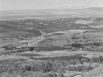 Looking down on part of the Valley, approximately six miles from Yakima, Washington, 1939. Creator: Dorothea Lange.