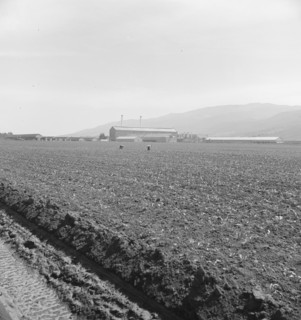 Spreckels sugar factory and sugar beet field, Monterey County, California, 1939. Creator: Dorothea Lange.