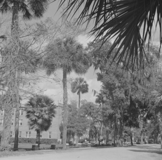 Possibly: Bethune-Cookman College, Daytona Beach, Florida, 1943. Creator: Gordon Parks.