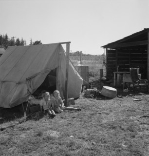 Possibly: Bean pickers' camp in grower's yard, near West Stayton, Marion County, Oregon, 1939. Creator: Dorothea Lange.