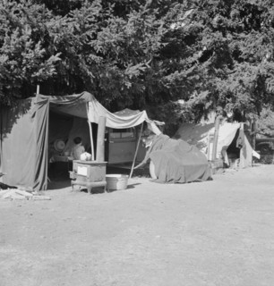 Camp representative of fourteen in group, near West Stayton, Marion County, Oregon, 1939. Creator: Dorothea Lange.