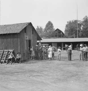Part of the lineup at paymaster's window..., near Grants Pass, Josephine County, Oregon, 1939. Creator: Dorothea Lange.