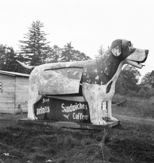 On U.S. 99 as it continues through Oregon, Lane County, Williamette Valley, Oregon, 1939. Creator: Dorothea Lange.