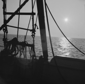 On board the fishing boat Alden, out of Gloucester, Massachusetts, 1943. Creator: Gordon Parks.