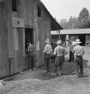 Part of line up at paymaster's window at noon..., near Grants Pass, Josephine County, Oregon, 1939. Creator: Dorothea Lange.