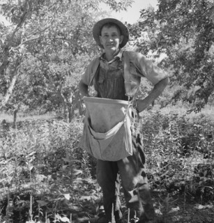 Fruit tramp, Yakima Valley, Wahington, 1939. Creator: Dorothea Lange.