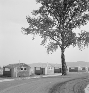 Shows new type of wooden shelter for migratory workers, near McMinnville, Oregon, 1939. Creator: Dorothea Lange.