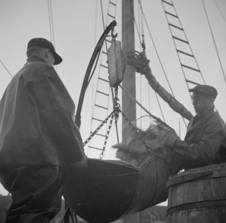 Possibly: New England fishermen unloading fish at the Fulton fish market, New York, 1943. Creator: Gordon Parks.
