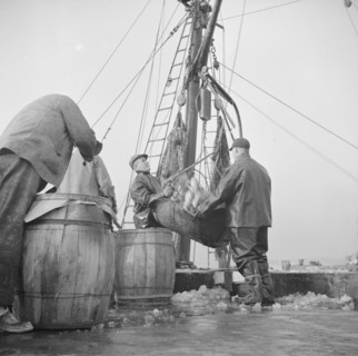 Possibly: New England fishermen unloading fish at the Fulton fish market, New York, 1943. Creator: Gordon Parks.