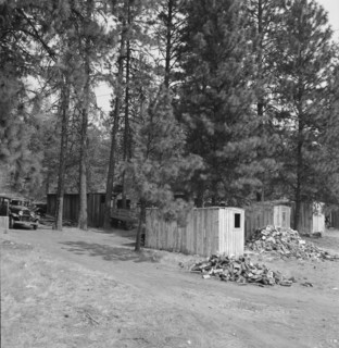 Owner provided cabins and wood but no nearby..., near Grants Pass, Josephine County, Oregon, 1939. Creator: Dorothea Lange.