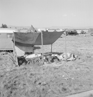 Living conditions for migrant potato pickers, Tulelake, Siskiyou County, California, 1939. Creator: Dorothea Lange.