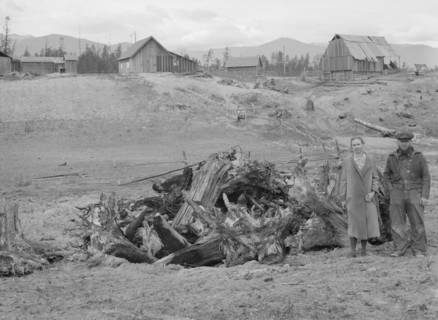 Possibly: The Unruf family, stump pile, and their partly developed farm, Boundary County, Idaho,1939 Creator: Dorothea Lange.