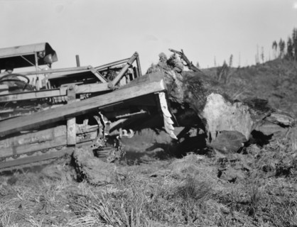 Possibly: Bulldozer raises and pushes stump on cut-over farm, Lewis County, Western Washington, 1939 Creator: Dorothea Lange.