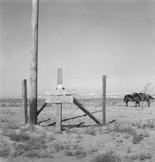 Farm for sale, Willow Creek area, Malheur County, Oregon, 1939. Creator: Dorothea Lange.