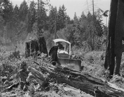 Bulldozer equipped with grader blade pushing over a..., Lewis County, near Vader, Washington, 1939. Creator: Dorothea Lange.