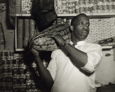 Mr. J. Benjamin, owner of the grocery store patronized by Mrs. Ella Watson..., Washington, DC, 1942. Creator: Gordon Parks.