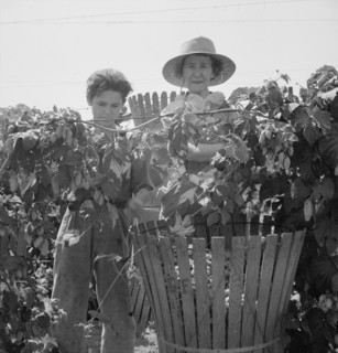 Eleven year old boy and his grandmother, migratory..., near Independence, Polk County, Oregon, 1939. Creator: Dorothea Lange.