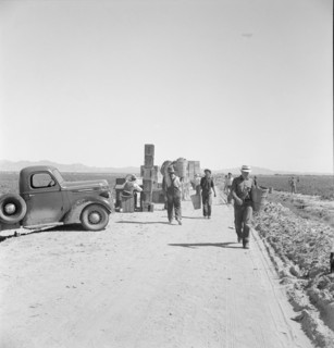 Five hundred pea pickers in field of large-scale Sinclair..., Near Calipatria, CA, 1939. Creator: Dorothea Lange.