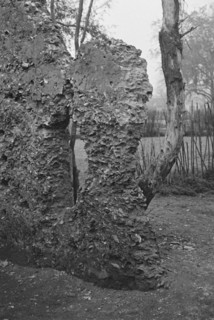 Possibly: Tabby construction, ruins of supposed Spanish mission, St. Marys, Georgia, 1936. Creator: Walker Evans.