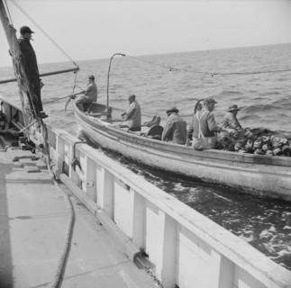 On board the fishing boat Alden, out of Gloucester, Massachusetts, 1943. Creator: Gordon Parks.