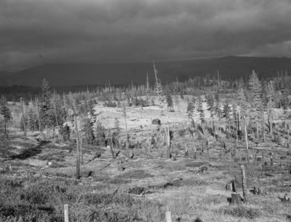 Cut-over landscape, approaching winter rain, showing settler's..., Boundary County, Idaho, 1939. Creator: Dorothea Lange.