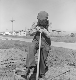 Farmer who has small plot...on outskirts of Salinas, CA, 1939. Creator: Dorothea Lange.