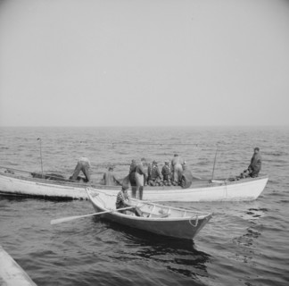 On board the fishing boat Alden, out of Gloucester, Massachusetts, 1943. Creator: Gordon Parks.