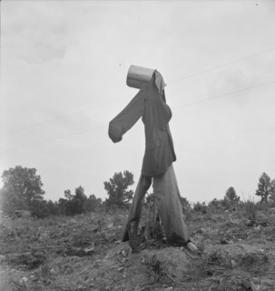 Possibly: Scarecrow on a newly cleared field with stumps near Roxboro, North Carolina, 1939. Creator: Dorothea Lange.