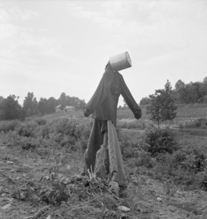 Untitled, possibly realted to: Scarecrow on a newly cleared..., near Roxboro, North Carolina, 1939. Creator: Dorothea Lange.