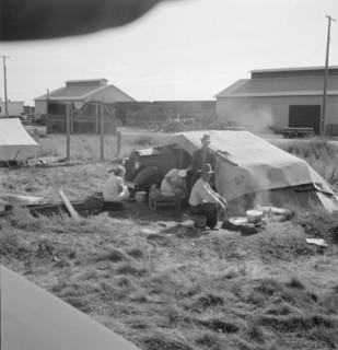 Living conditions for migrant potato pickers, Siskiyou County, California, 1939. Creator: Dorothea Lange.