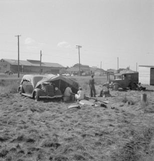 Living conditions for migrant potato pickers, Siskiyou County, California, 1939. Creator: Dorothea Lange.