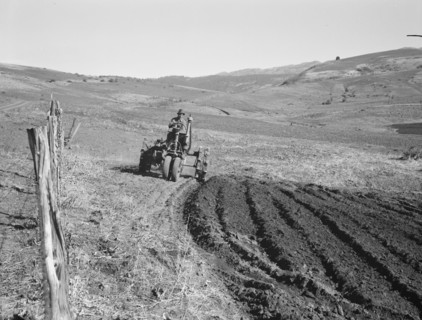 Young farmer, member of Ola self-help sawmill co-op, plowing..., Gem County, Idaho, 1939. Creator: Dorothea Lange.