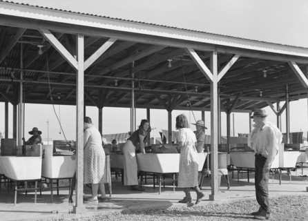 Laundry facilities for migratory workers in FSA camp at Westley, California, 1939. Creator: Dorothea Lange.