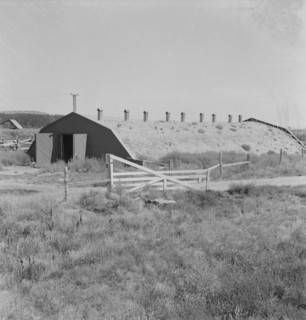 Potato storage cellar in Klamath Basin, where potatoes are raised, Klamath County, Oregon, 1939. Creator: Dorothea Lange.