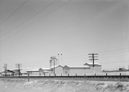 Winery belonging to Muscat Cooperative, on US 99. between Tulare and Fresno, California, 1939. Creator: Dorothea Lange.