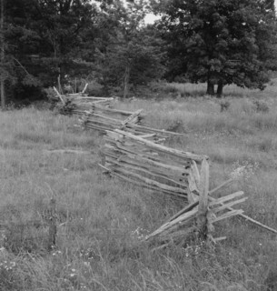 Rail fence with poor barbed wire fence in foreground, Person County, North Carolina, 1939. Creator: Dorothea Lange.