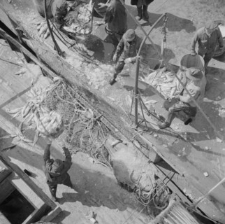 Fulton fish market dock stevedores unloading and weighing fish in the early morning, New York, 1943. Creator: Gordon Parks.