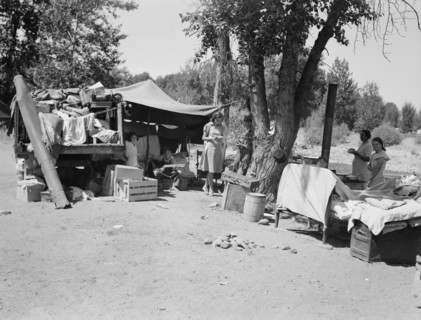 Camp of family with nine children who have been on the road..., Yakima Valley, Washington, 1939. Creator: Dorothea Lange.