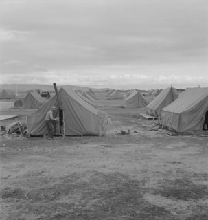 Migrant camp, Merrill, Klamath County, Oregon, 1939. Creator: Dorothea Lange.