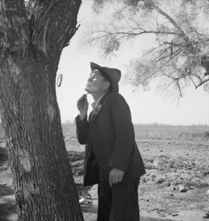 On U.S. 99 between Bakersfield and the Ridge, en route to San Diego, 1939. Creator: Dorothea Lange.