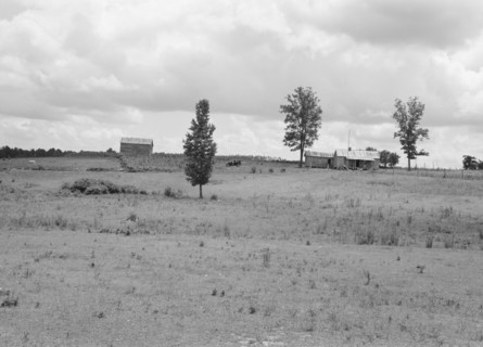 Farmhouse and landscape of Negro tenant family..., Near Pittsboro, North Carolina, 1939. Creator: Dorothea Lange.